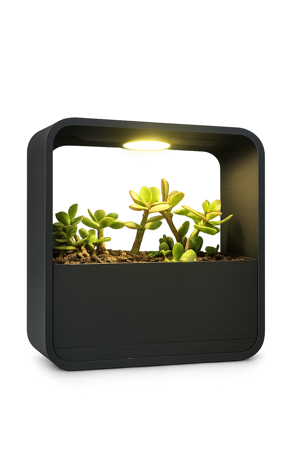 Fioriera Inteligente com Efeito Chuva e Luz LED